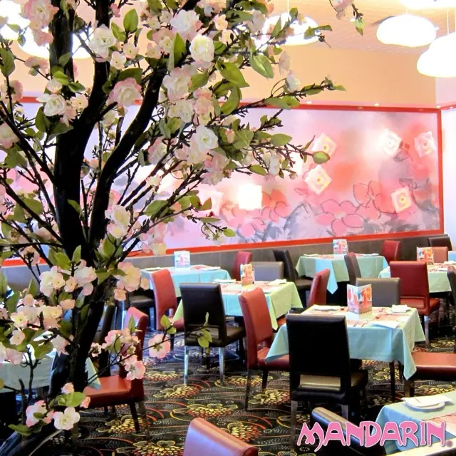 Mandarin Restaurant Menu With Prices May 2024 Updated   Mandarin Restaurant Menu Everymenuprices.webp